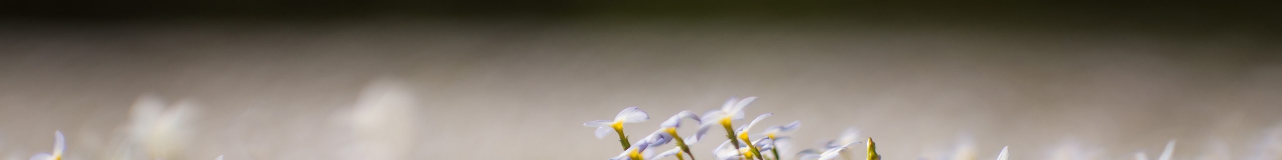 ♫ | Fust: Open Water